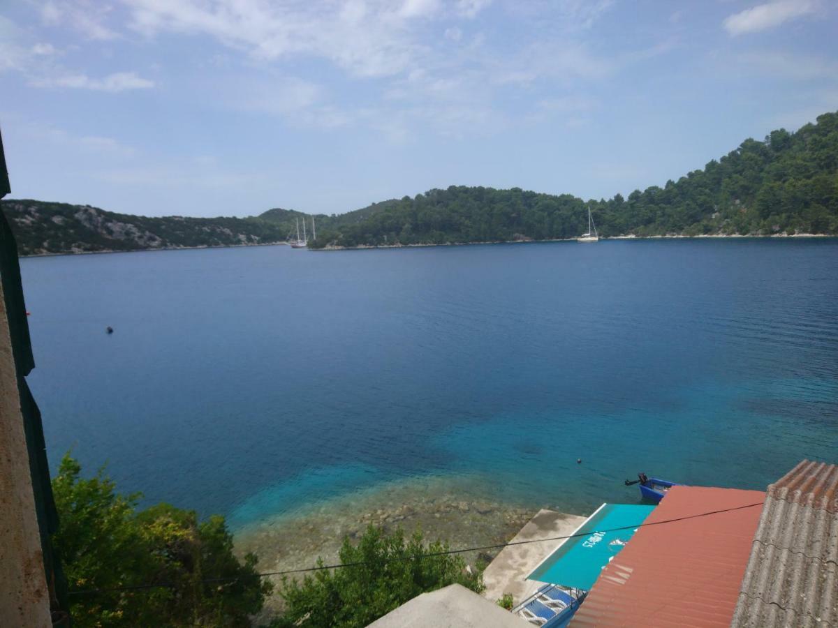 Apartment Dalmatinac Ivo Polače Dış mekan fotoğraf
