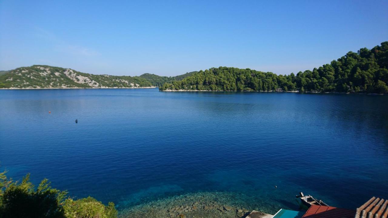 Apartment Dalmatinac Ivo Polače Dış mekan fotoğraf